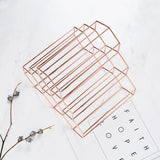 Gold Geometric Bottle Display - Cali Genre