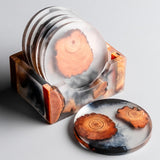 Resin Pine Coasters (6pc Set)